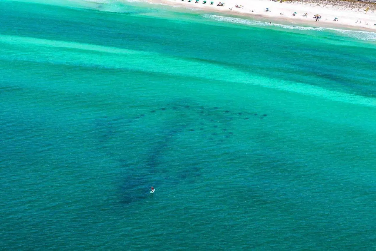 Leeward Key 806 Villa Destin 0*,  United States